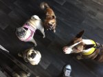 IMG-20170419-WA0024.jpg