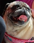 IMG_20170412_222932.jpg