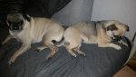 IMG_20170416_221507.jpg