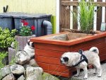 IMG-20170515-WA0012.jpg