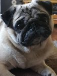 20170330_162039_1.jpg