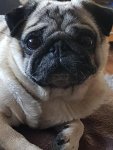 20170520_172049.jpg