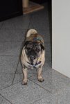 DSC_0001.jpg