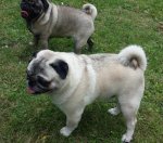 20170613_093744.jpg