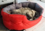 20170612_133714.jpg