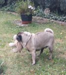 20170626_101522-1.jpg