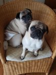 20170830_191655.jpg