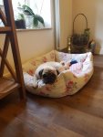 20170819_102951.jpg