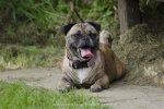 Bonnie-Galgotreffen2.jpg