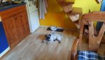 IMG-20170920-WA0012.jpg