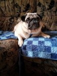 IMG-20170906-WA0000.jpg