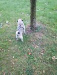 IMG-20170923-WA0001.jpg