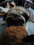 IMG-20170923-WA0002.jpg