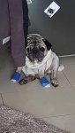 IMG-20170924-WA0007.jpg