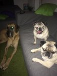 trio.jpg