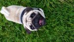 20170928_173547.jpg
