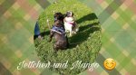 20171017_074835.jpg