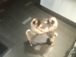 baby1.jpg