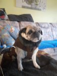 IMG-20171203-WA0036.jpg