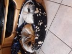 20171108_082742.jpg