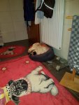 20171212_061327.jpg