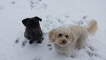 20180118_121650.jpg