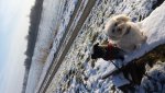 20180206_094340.jpg