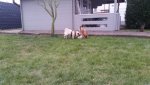 20180302_173754.jpg