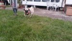 20180302_173435.jpg