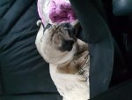 20180313_163708.jpg