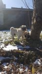 20180319_114626.jpg