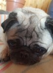 20180319_121032.jpg