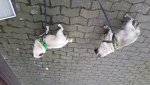 IMG-20180314-WA0002.jpg