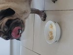 20180318_150337.jpg