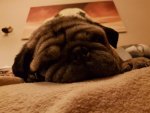20180314_193226.jpg