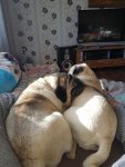 20180209_112500.jpg