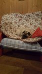 20180408_213454.jpg