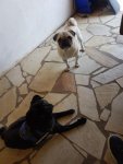 IMG-20180418-WA0004.jpg