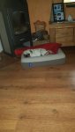 IMG-20180418-WA0010.jpg