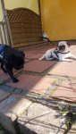 IMG-20180419-WA0006.jpg