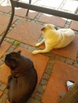 IMG-20180419-WA0011.jpg