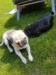 IMG-20180422-WA0004.jpg