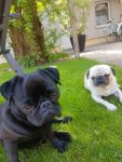 IMG-20180422-WA0005.jpg