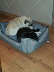 IMG-20180424-WA0001.jpg