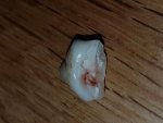 20180501_114522.jpg