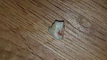 IMG-20180501-WA0016.jpg