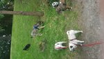 20180522_185251.jpg