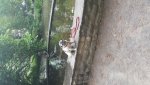 20180522_184859.jpg