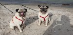 IMG-20180622-WA0001.jpg