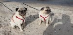 IMG-20180622-WA0002.jpg